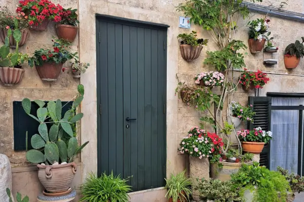 Jardins Verticais Em Casa: Beleza, Natureza e Praticidade nas Alturas