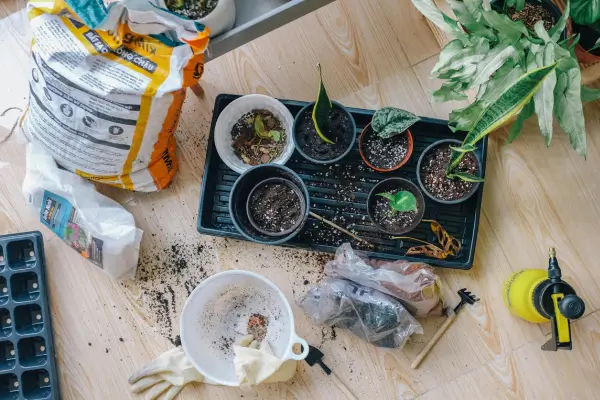 Quais são as ferramentas de jardinagem essenciais (Guia para iniciantes)